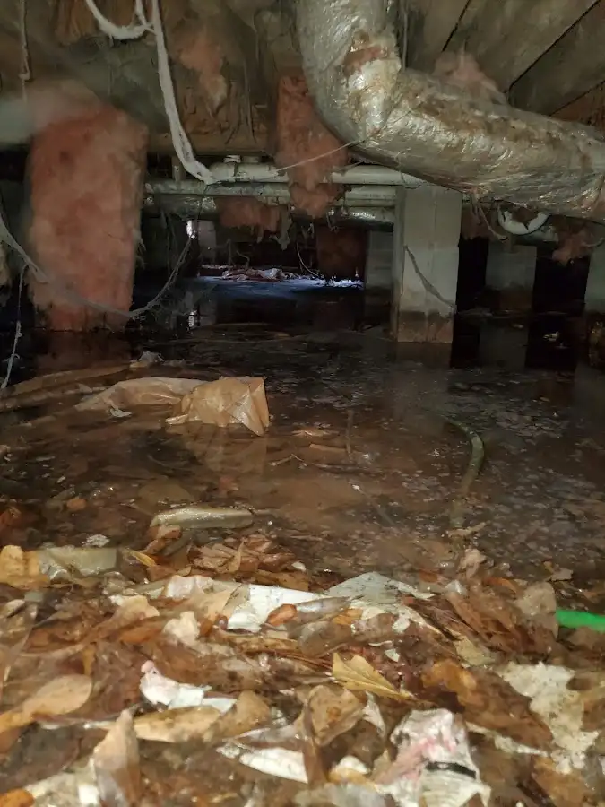 Crawl space flood assessment for Leak Detection & Repair in Santa Clara