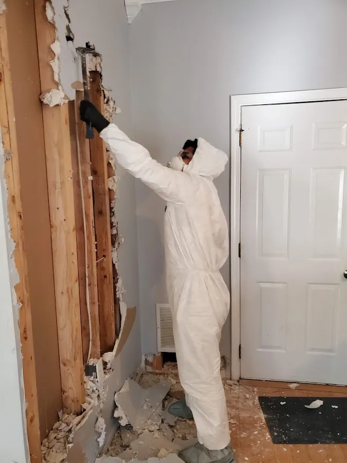 Mold Remediation & Removal in Santa Clara, UT